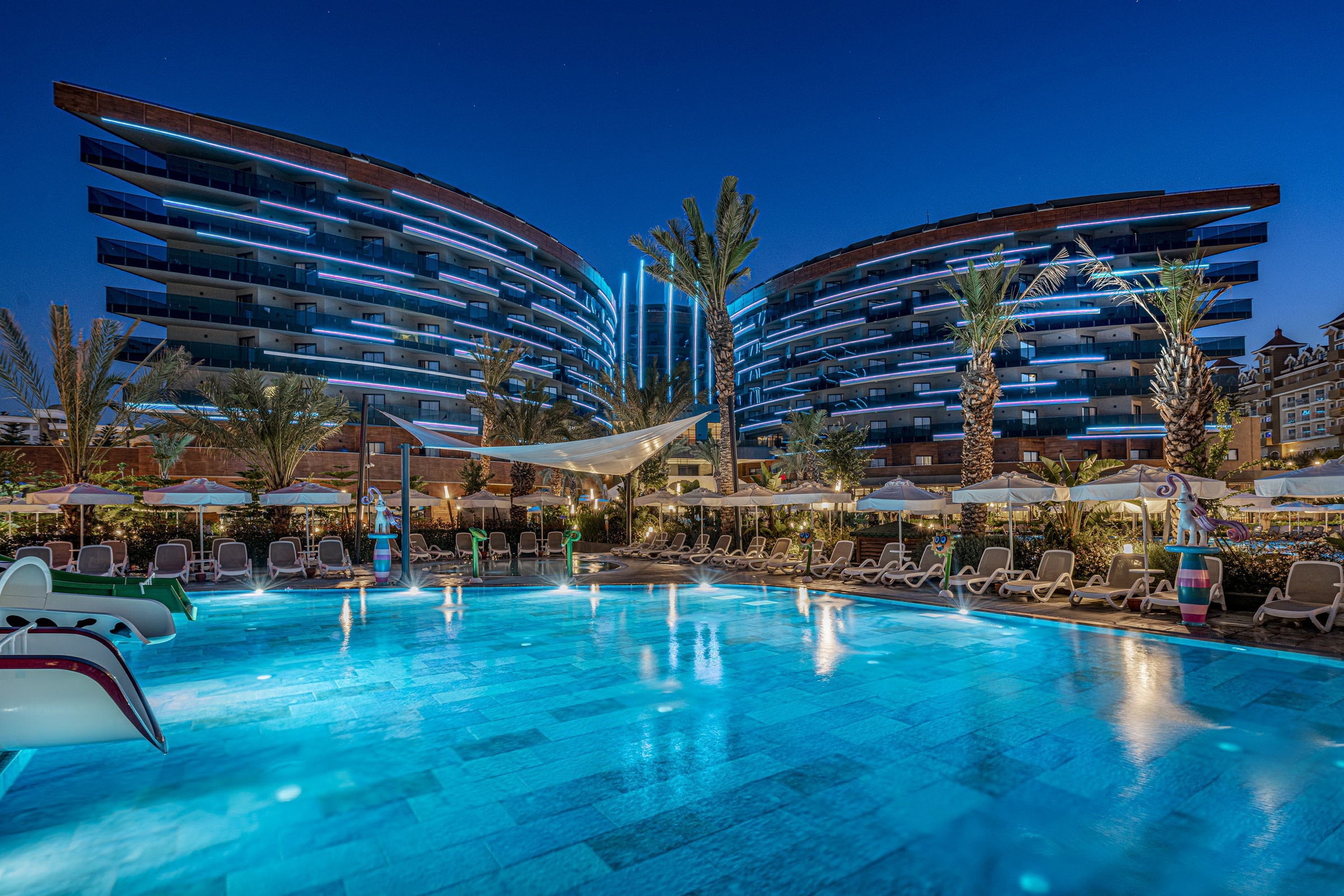 Calyptus Kirman Premium98