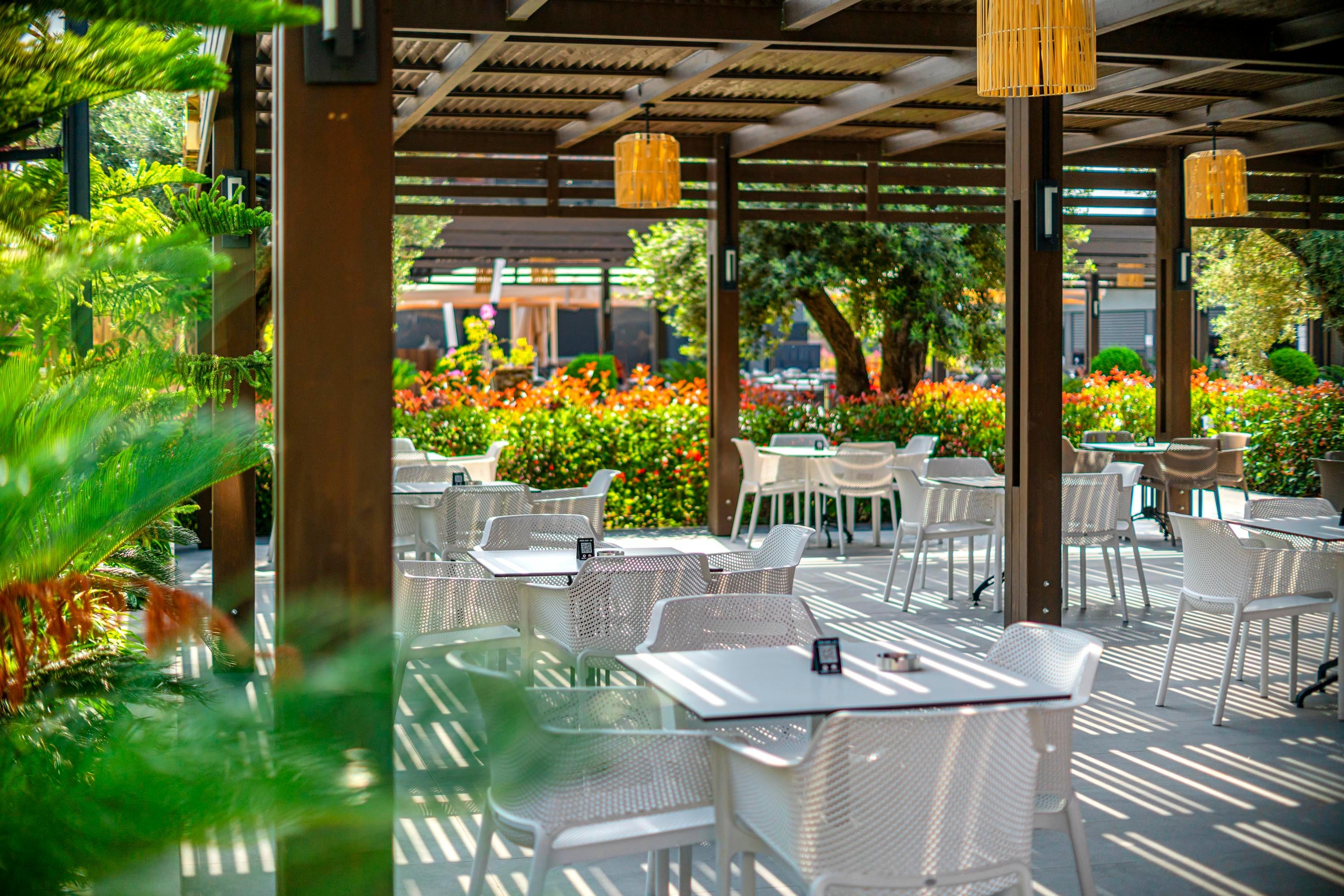 Calyptus Kirman Premium29