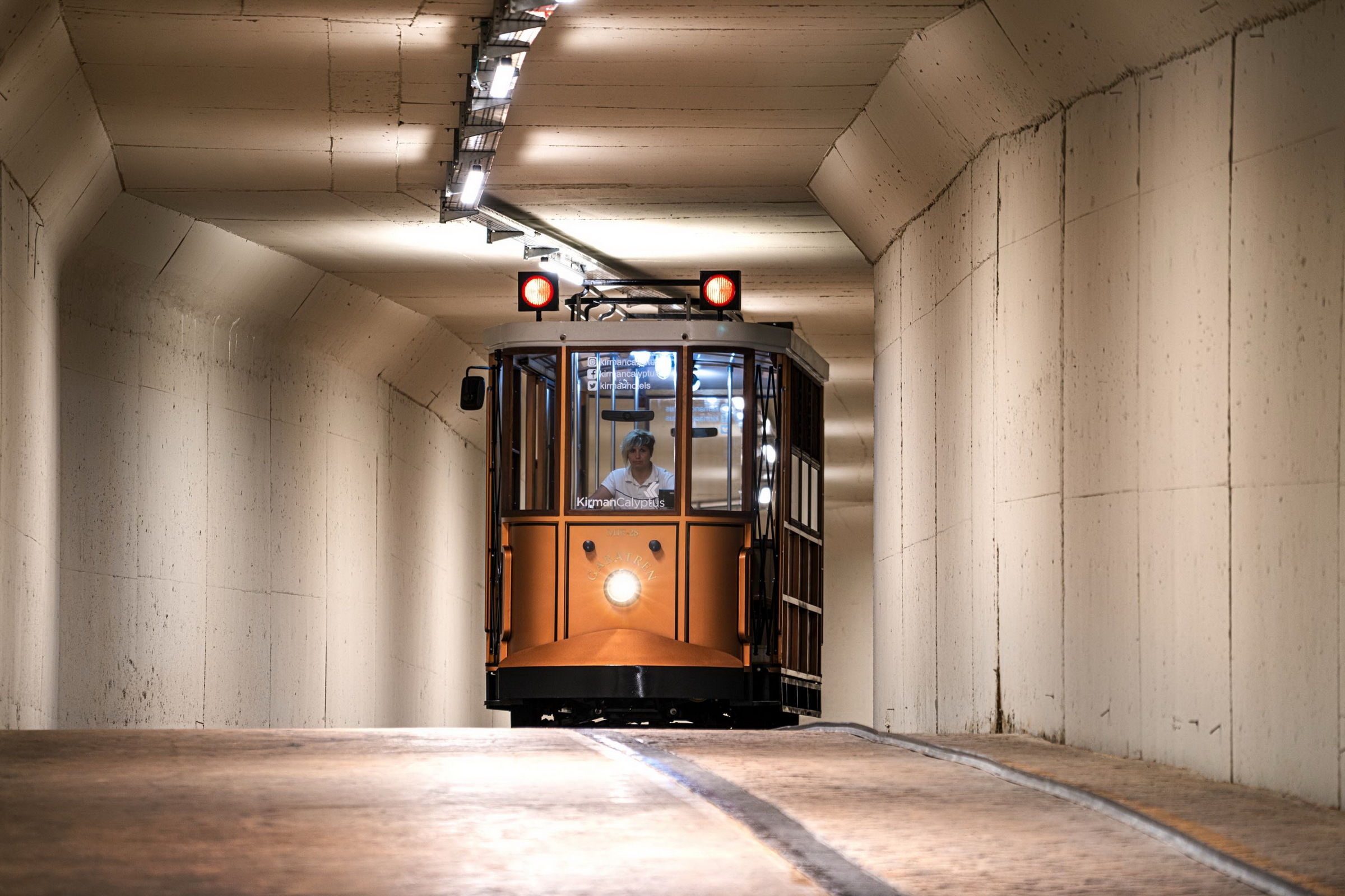 Calyptus Kirman Premium96