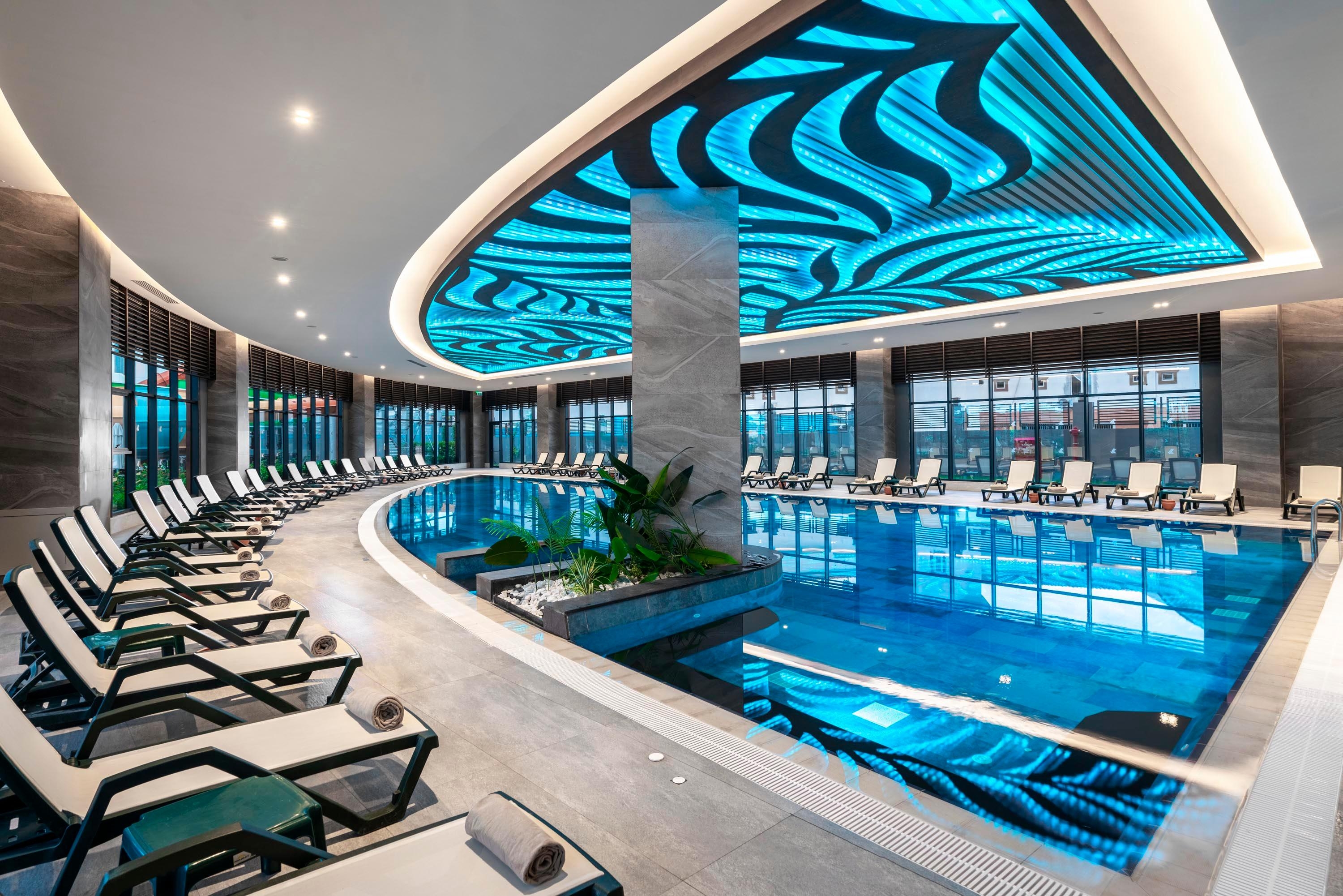 Calyptus Kirman Premium25