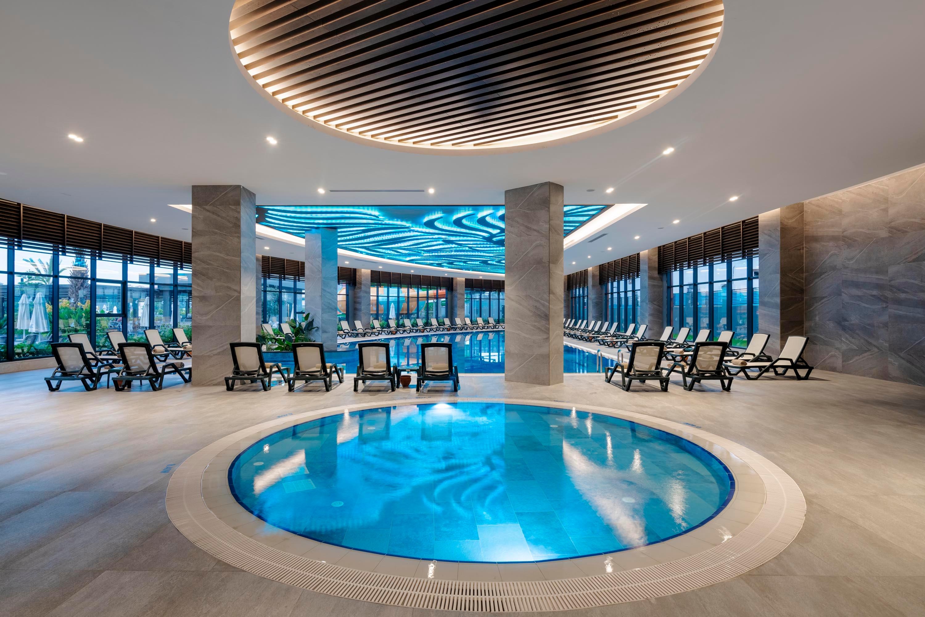 Calyptus Kirman Premium27