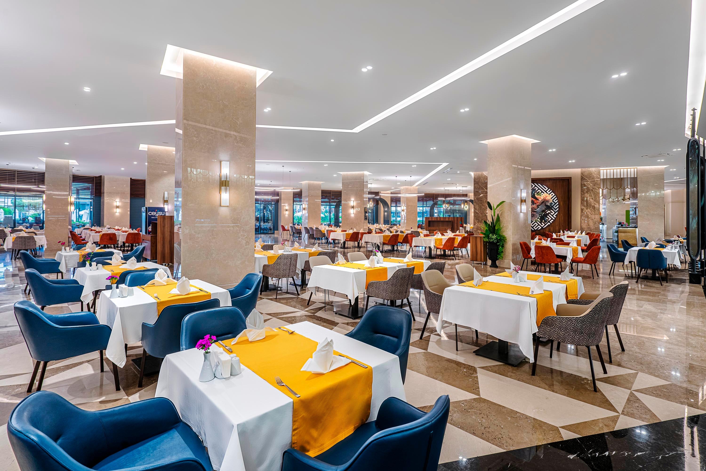 Calyptus Kirman Premium43