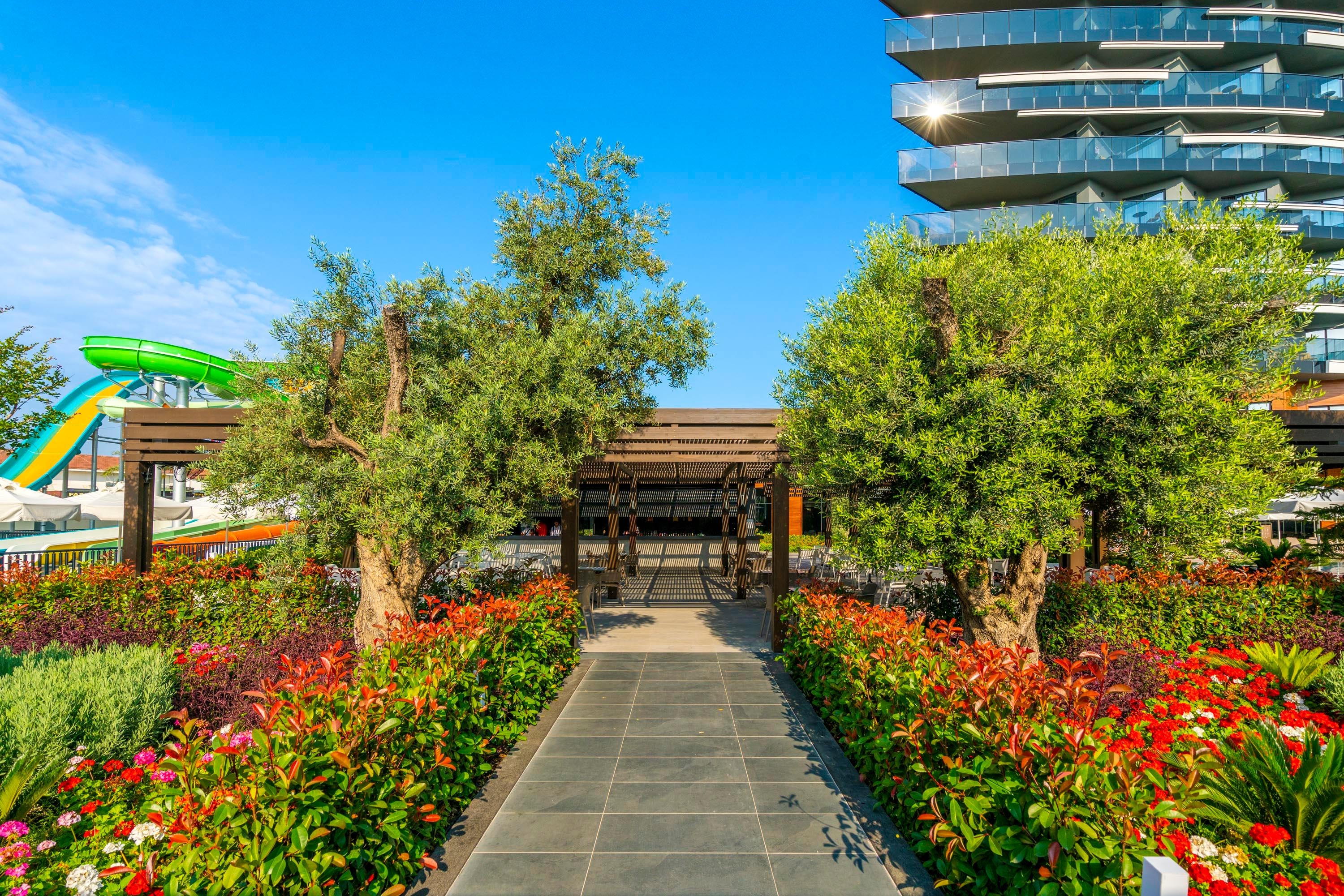 Calyptus Kirman Premium18