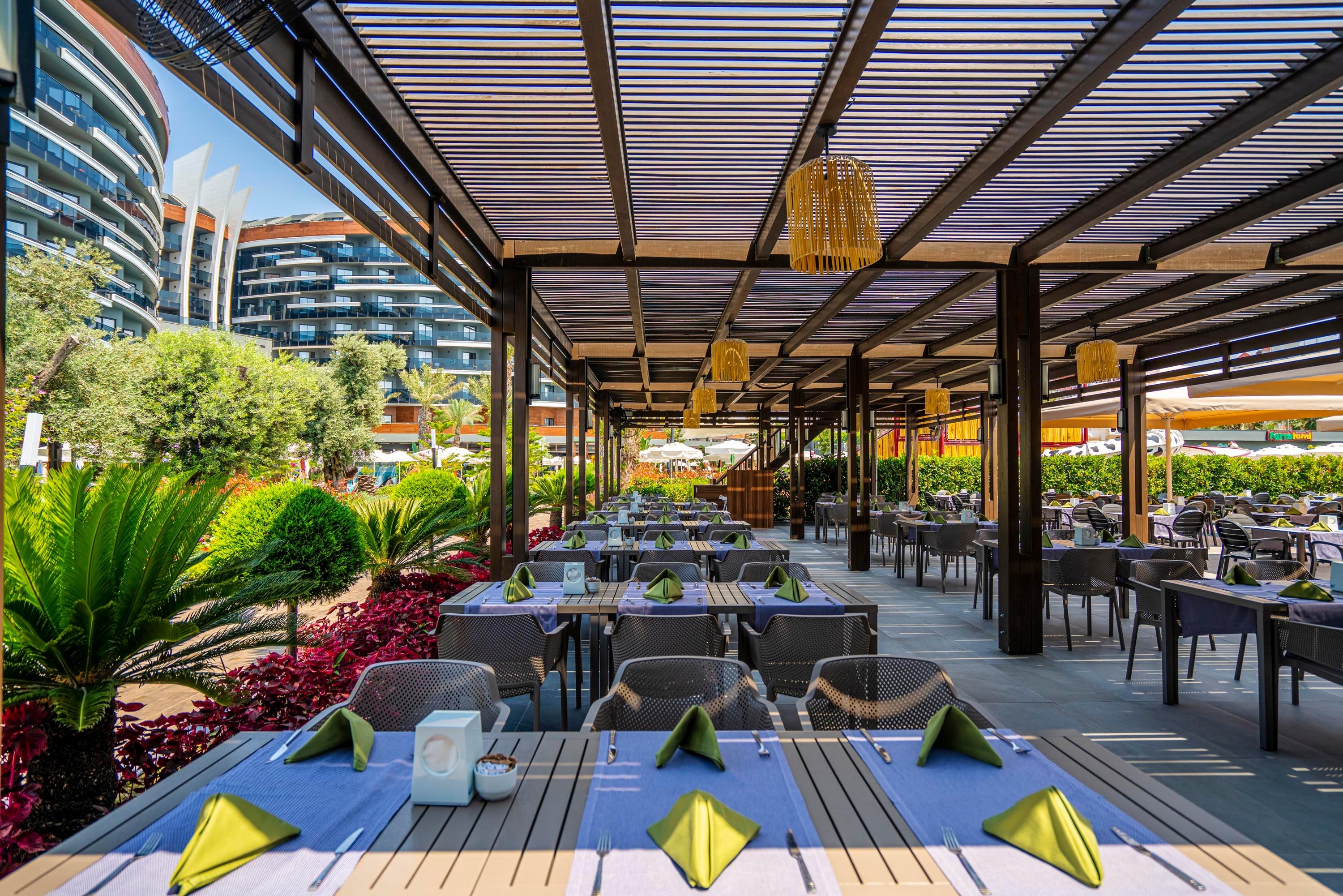 Calyptus Kirman Premium45