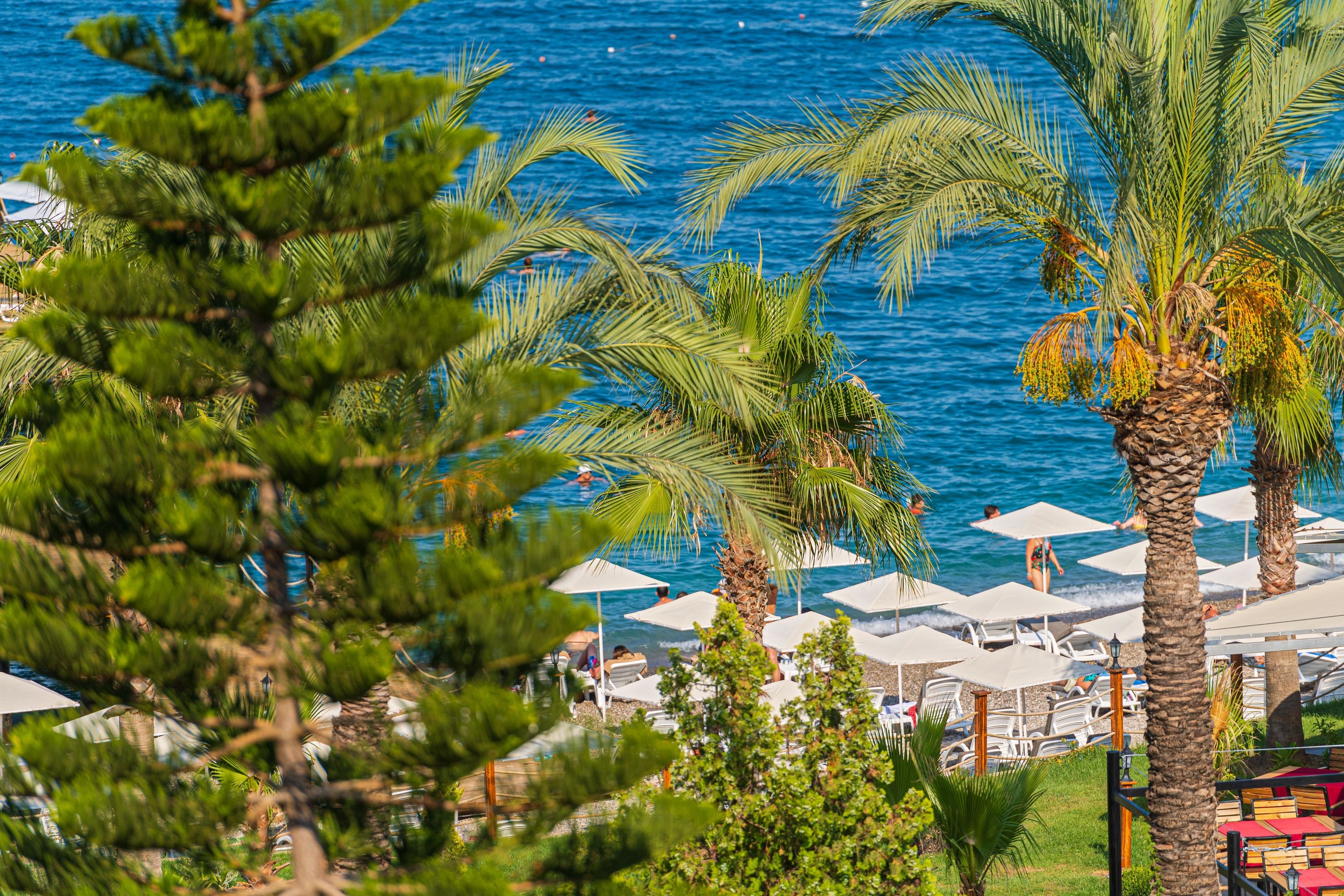 Sealife Kemer Resort Hotel7