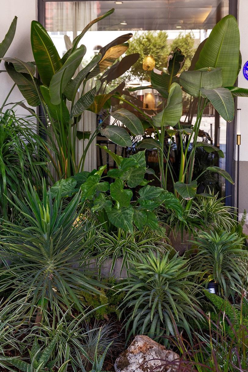 Sherwood Premio Hotel (Ex. Sherwood Prize)2