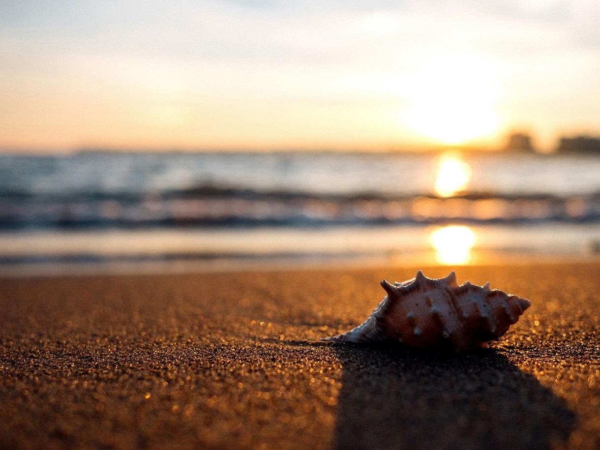 Riolavitas Spa & Resort19