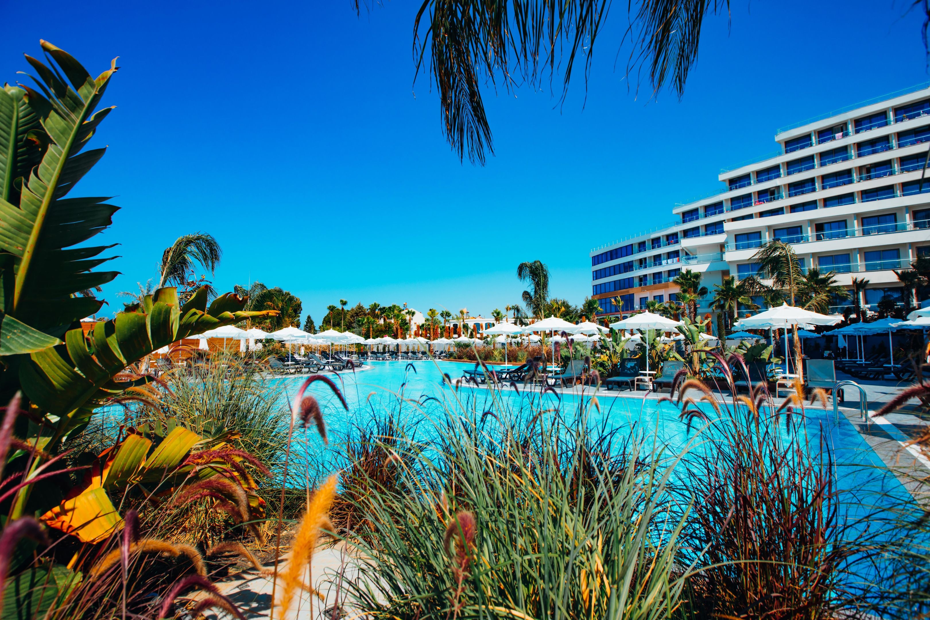 Alarcha Hotels & Resort4