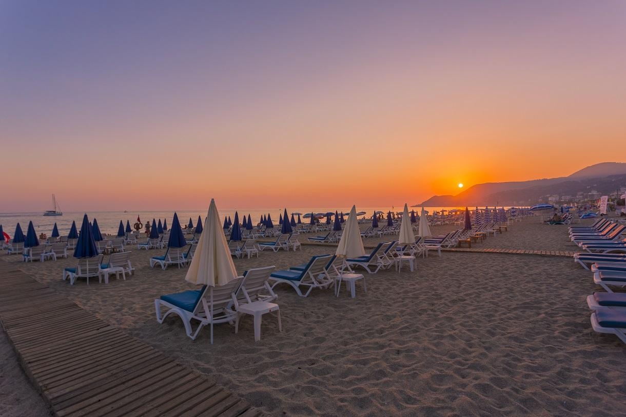 Lonicera City Kleopatra13