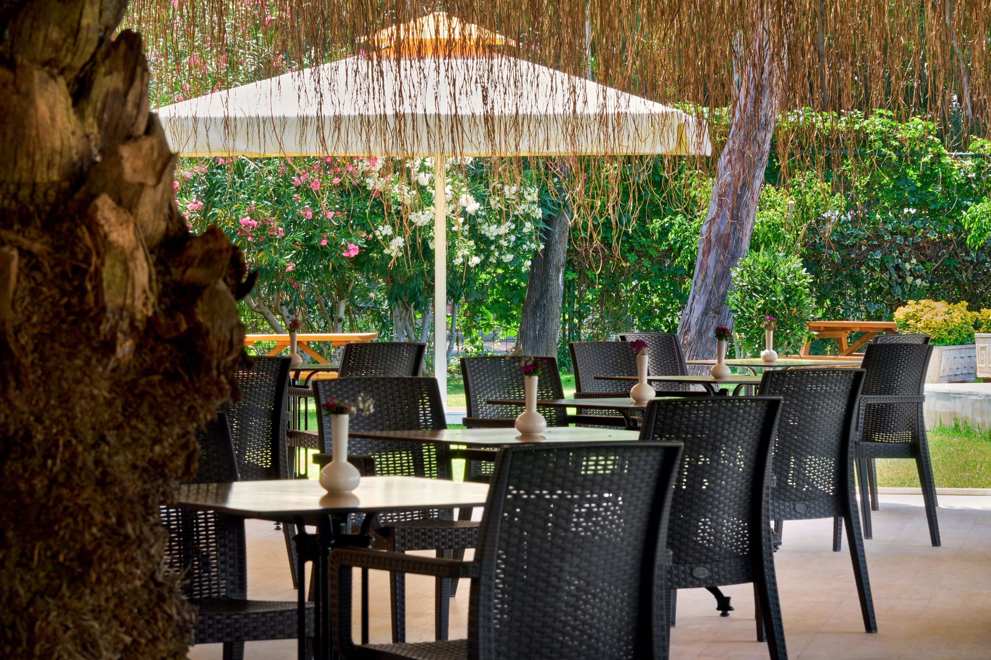 Asteria Collection Side (ex. Amara Family Resort )22