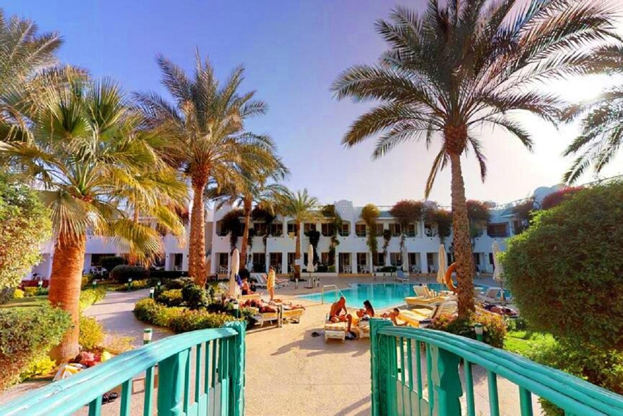 Kairó + Falcon Naama Star9