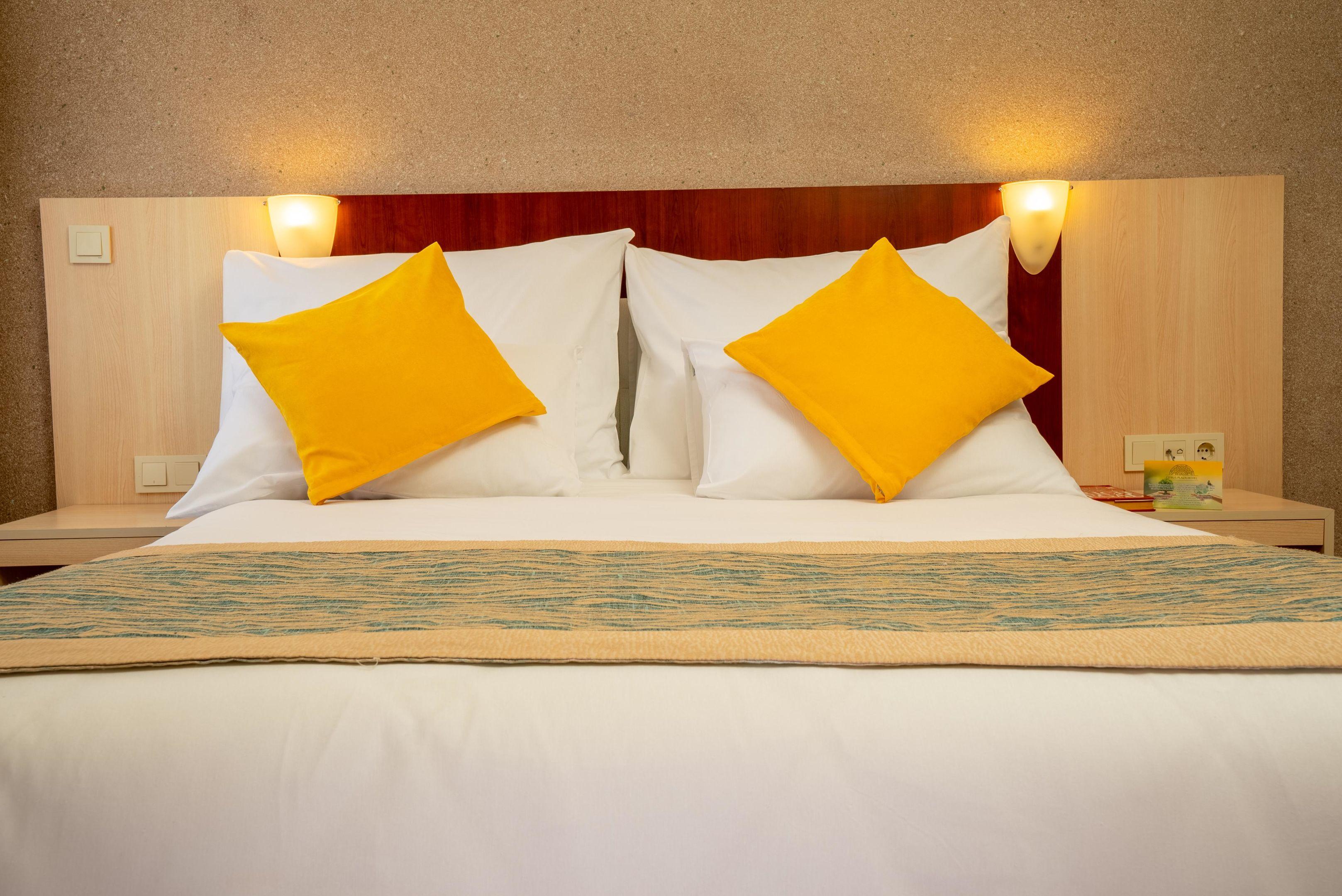 Citrus Plaza Hotel (Ex. Artemis Princess Hotel)3
