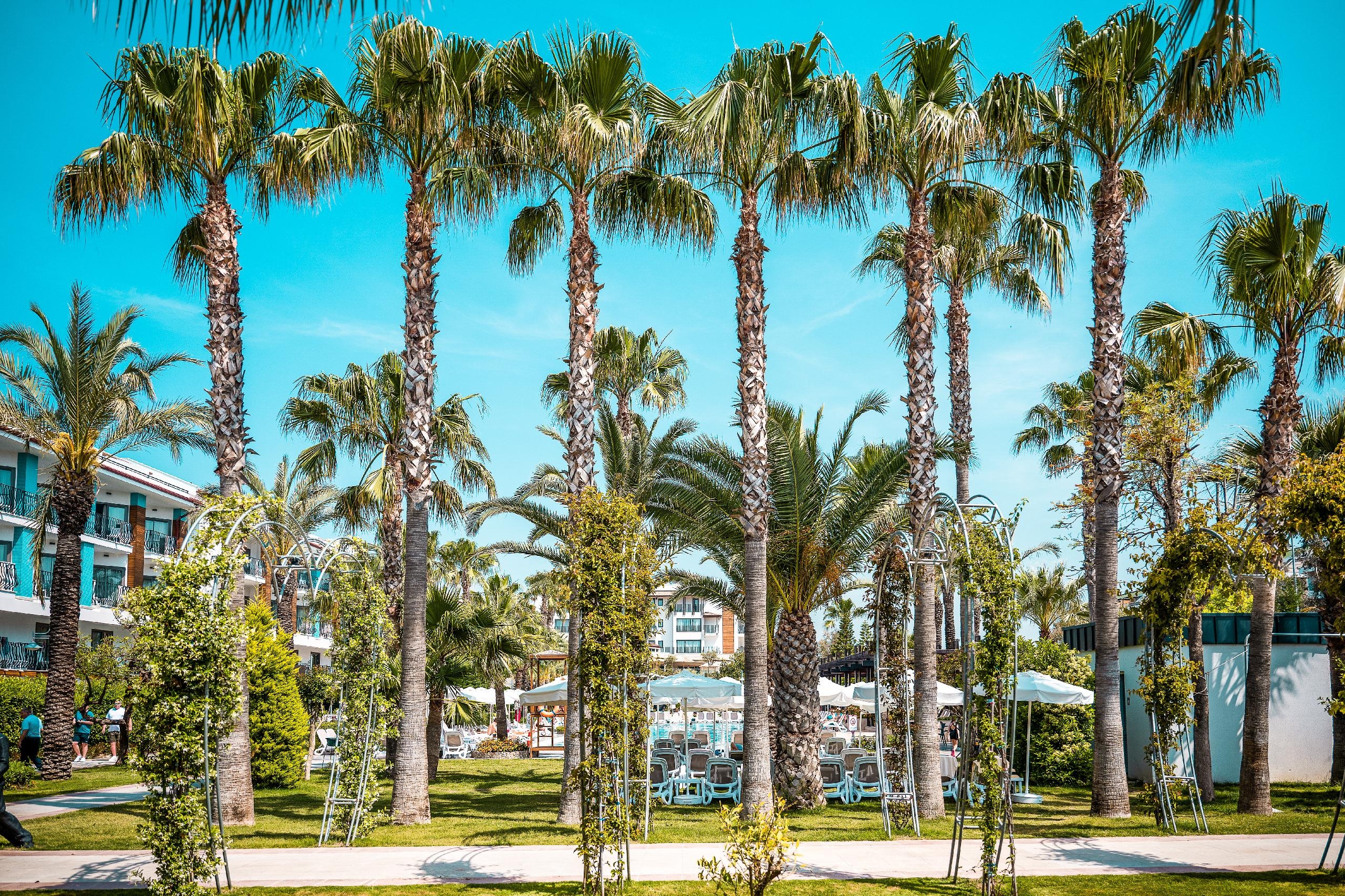Belek Beach Resort98
