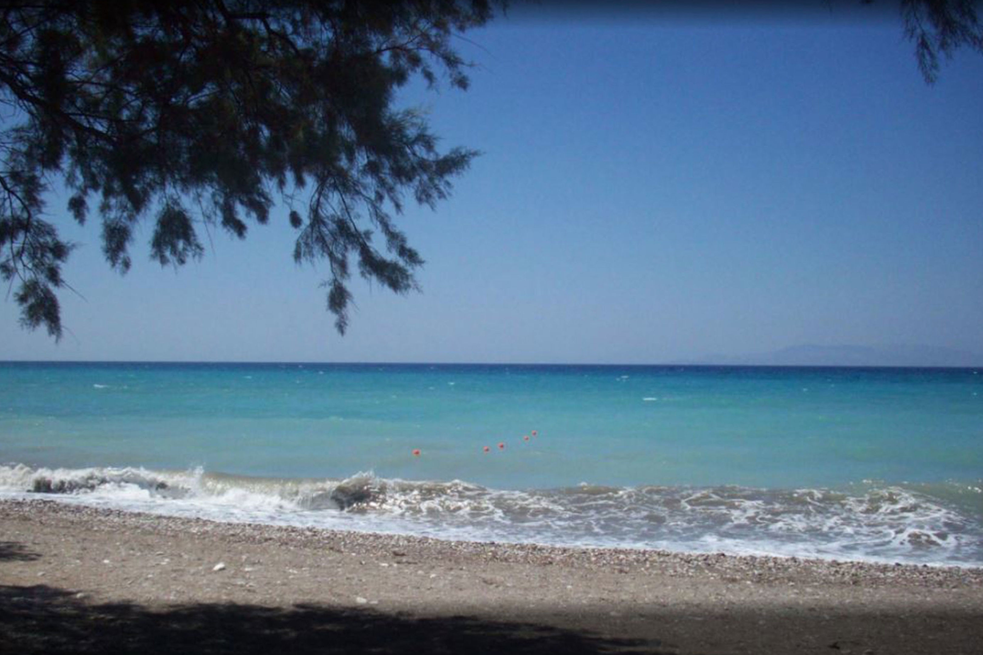 Asterias Bay9