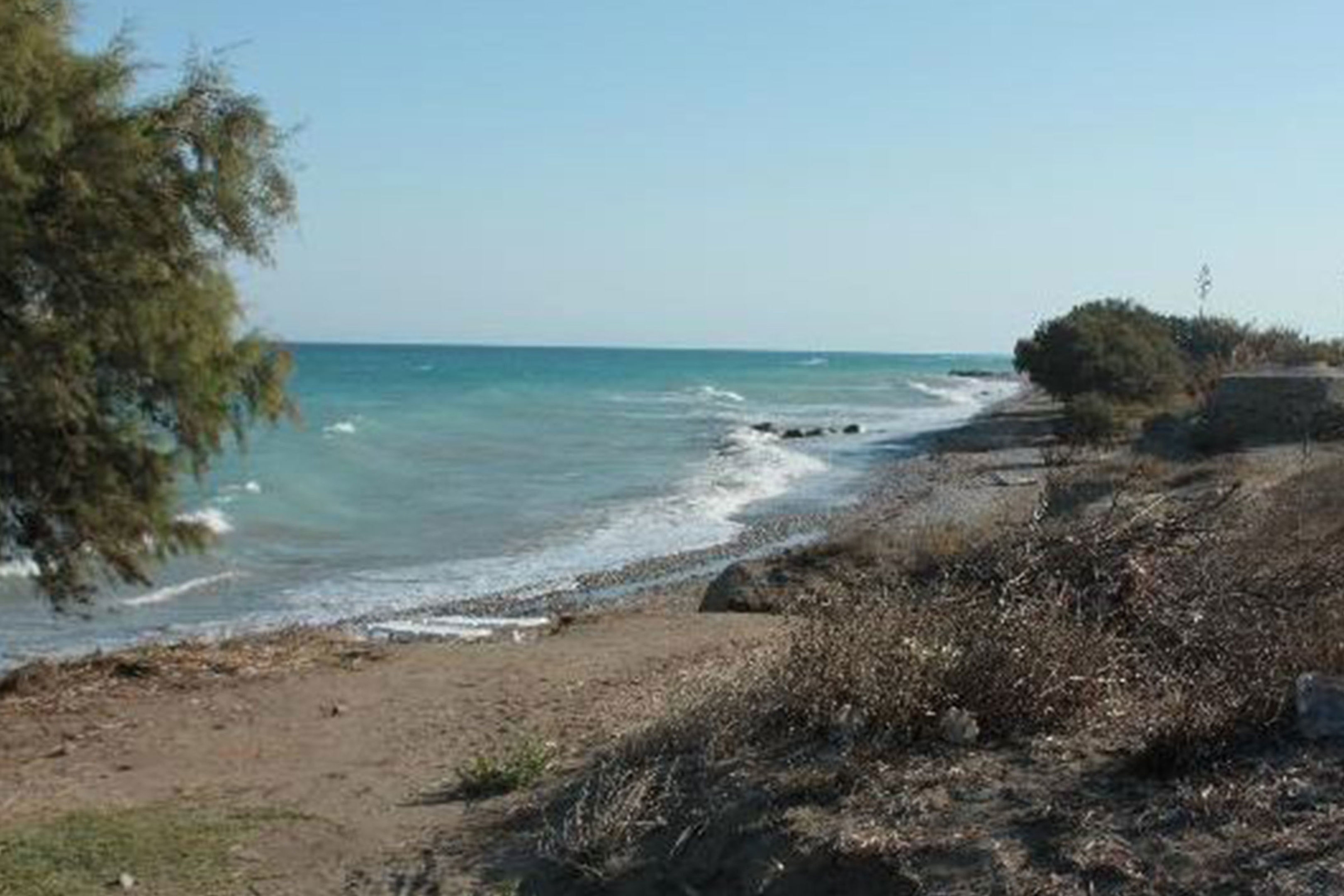 Asterias Bay10