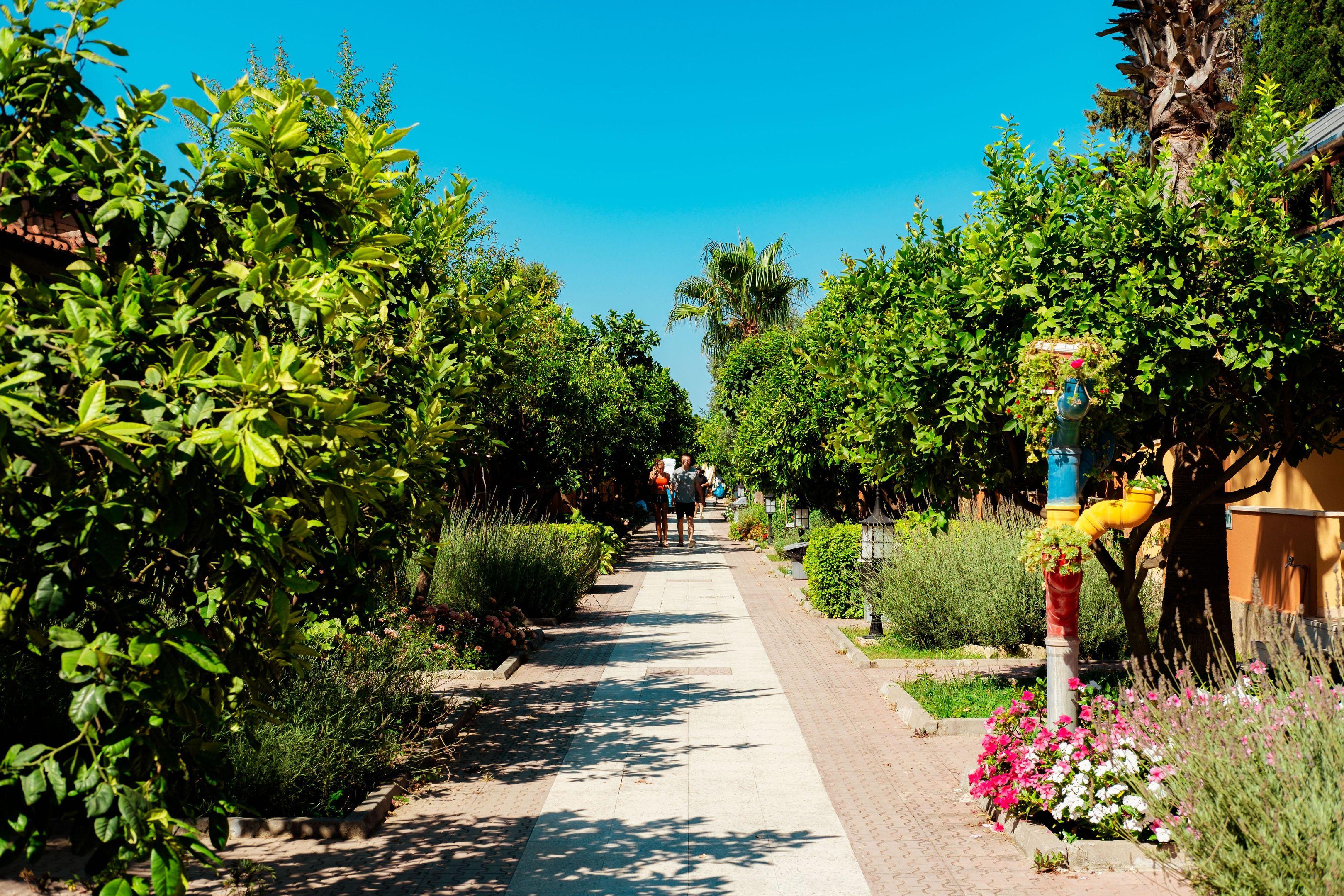 Ozlem Garden0
