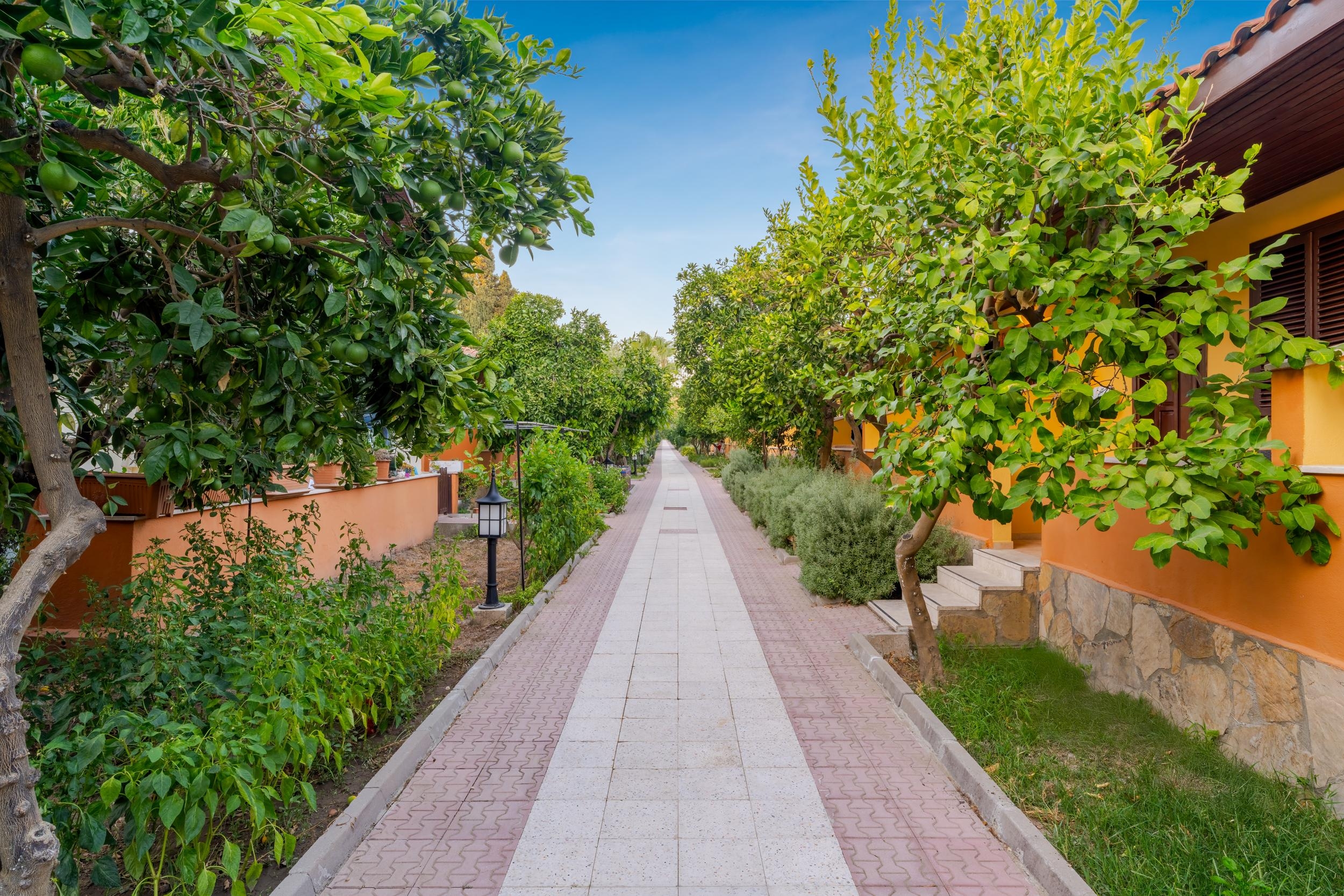 Ozlem Garden27