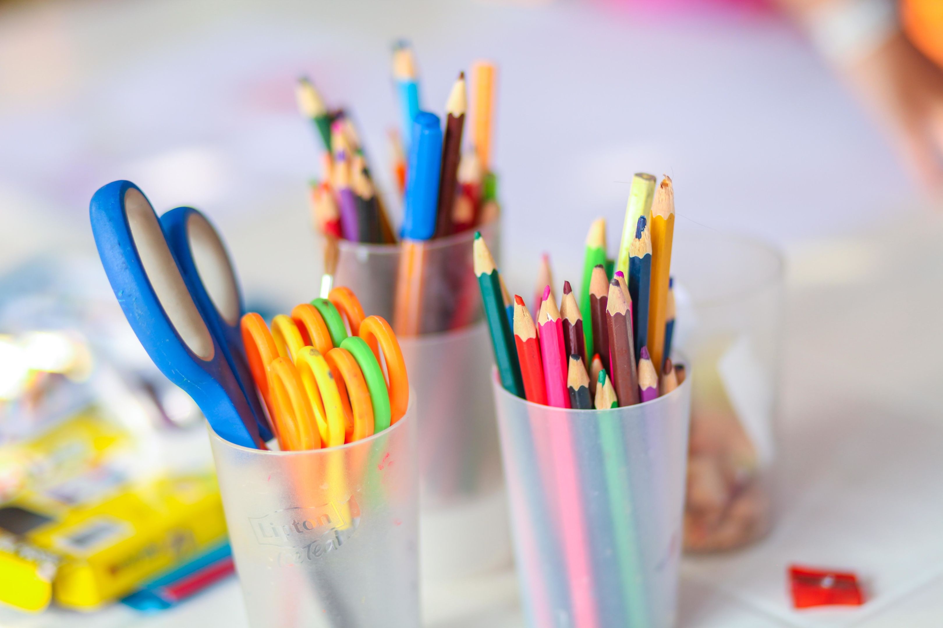 Pine House by Werde Hotels21