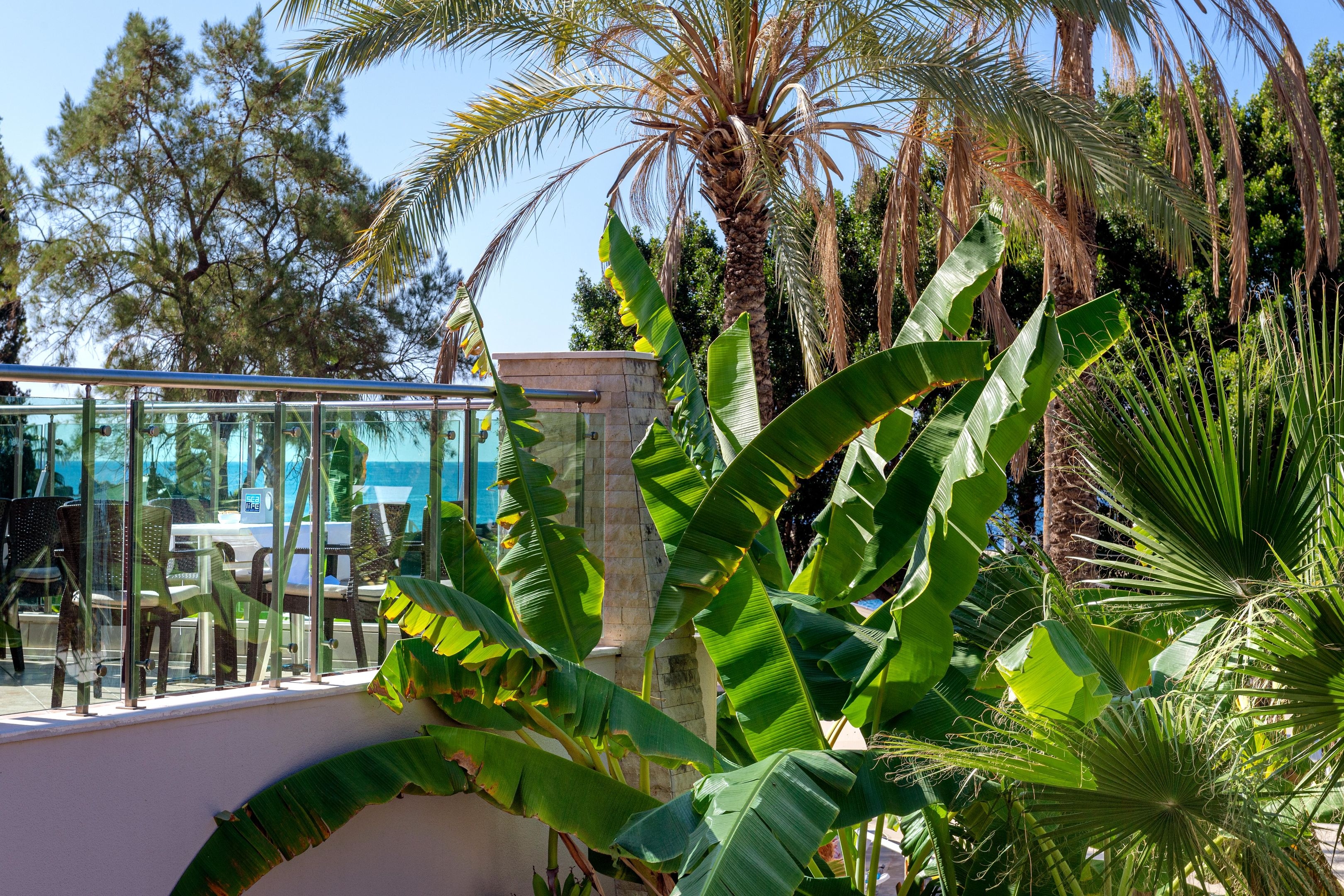 Sealife Buket Resort & Beach56