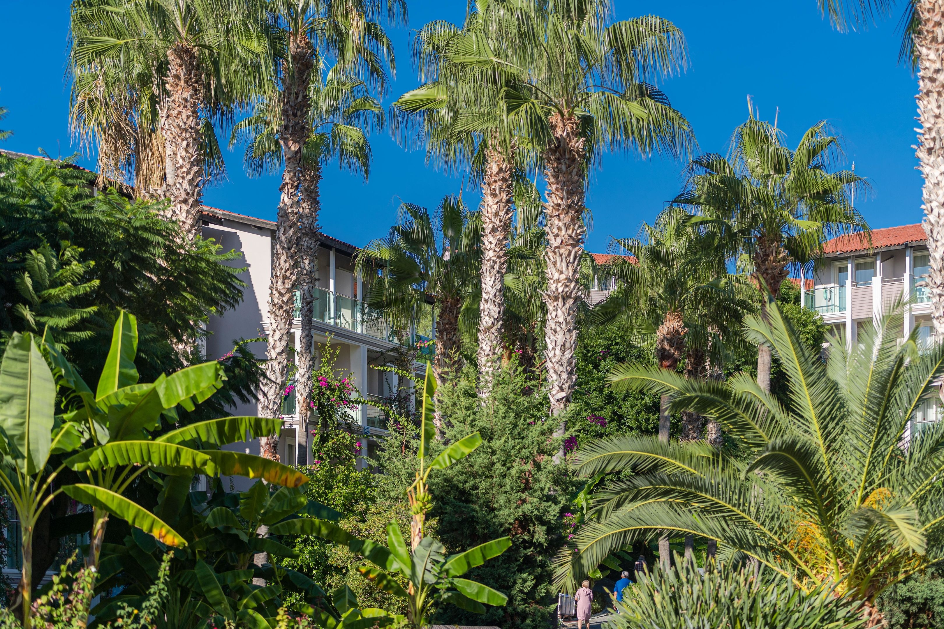 Sealife Buket Resort & Beach65