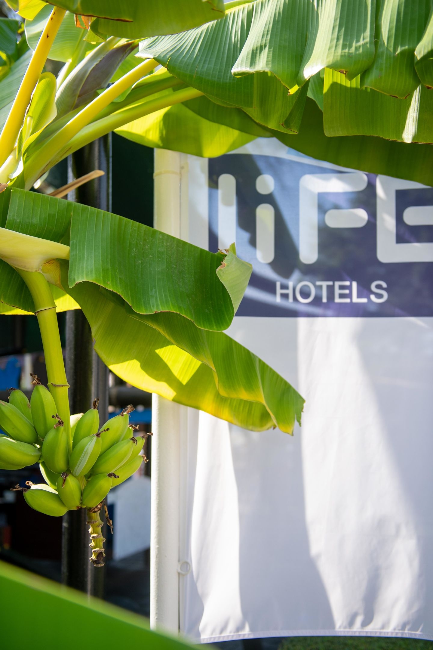 Sealife Buket Resort & Beach111