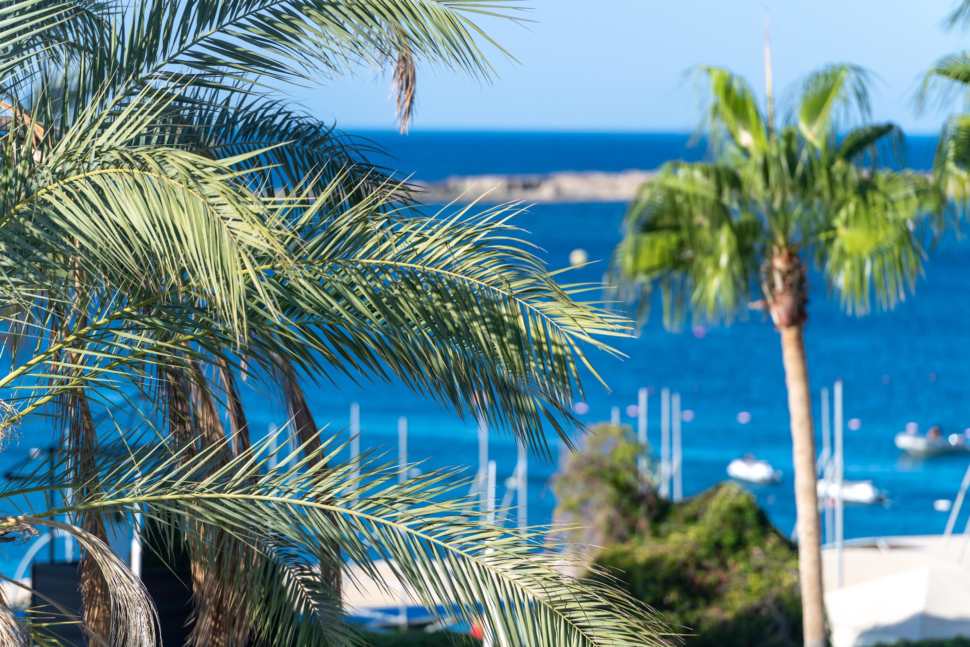 Sealife Buket Resort & Beach49