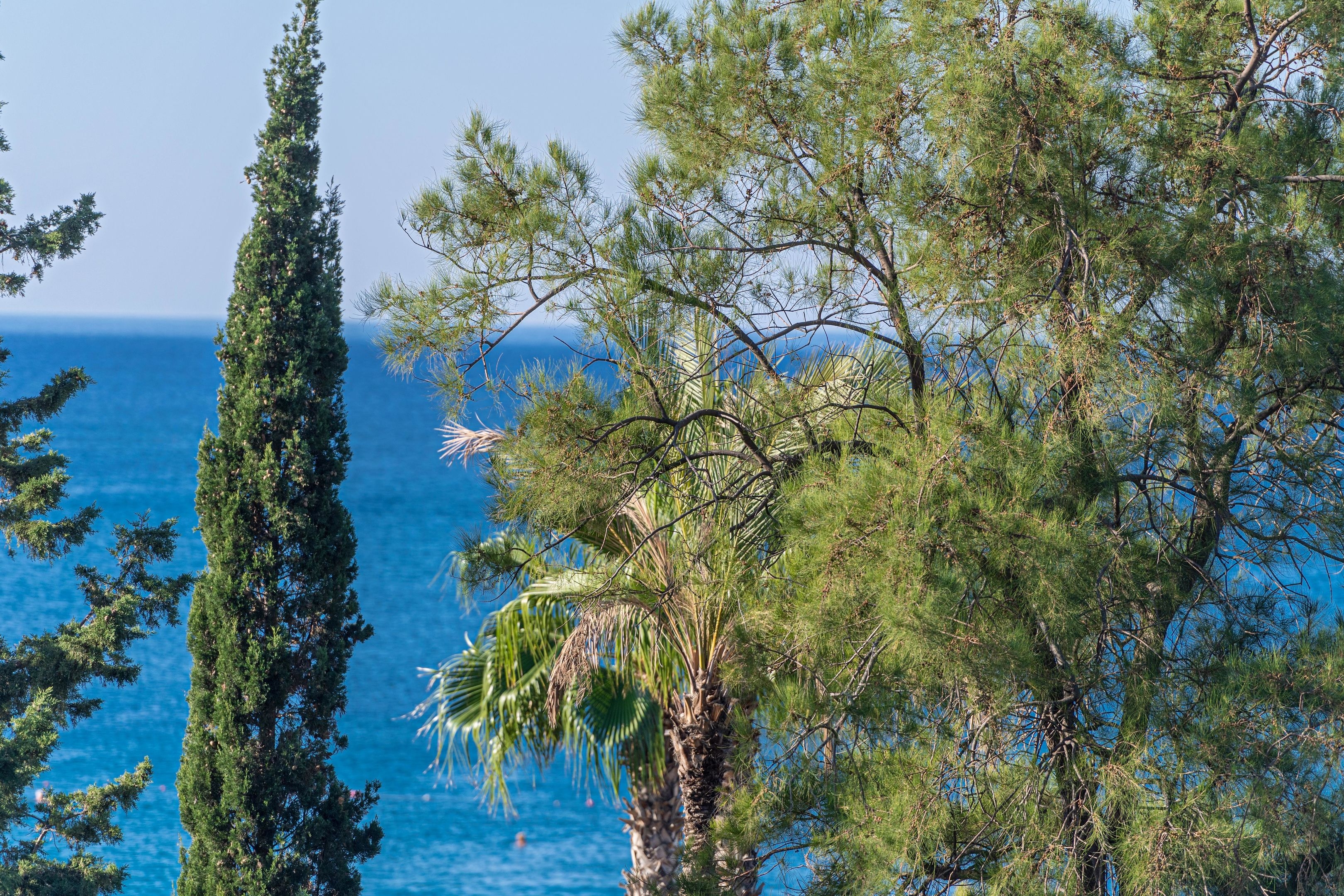 Sealife Buket Resort & Beach50