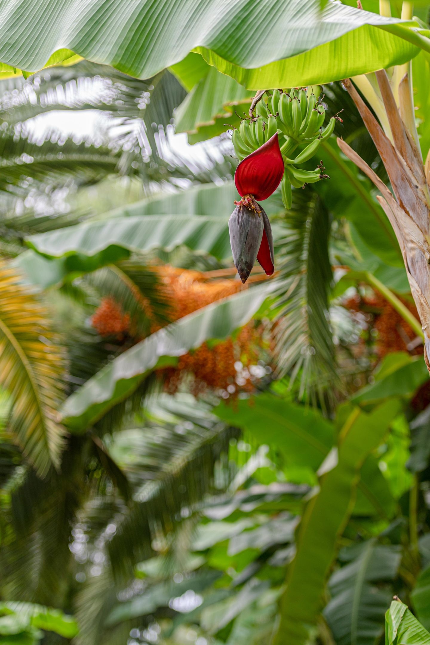 Sealife Buket Resort & Beach132