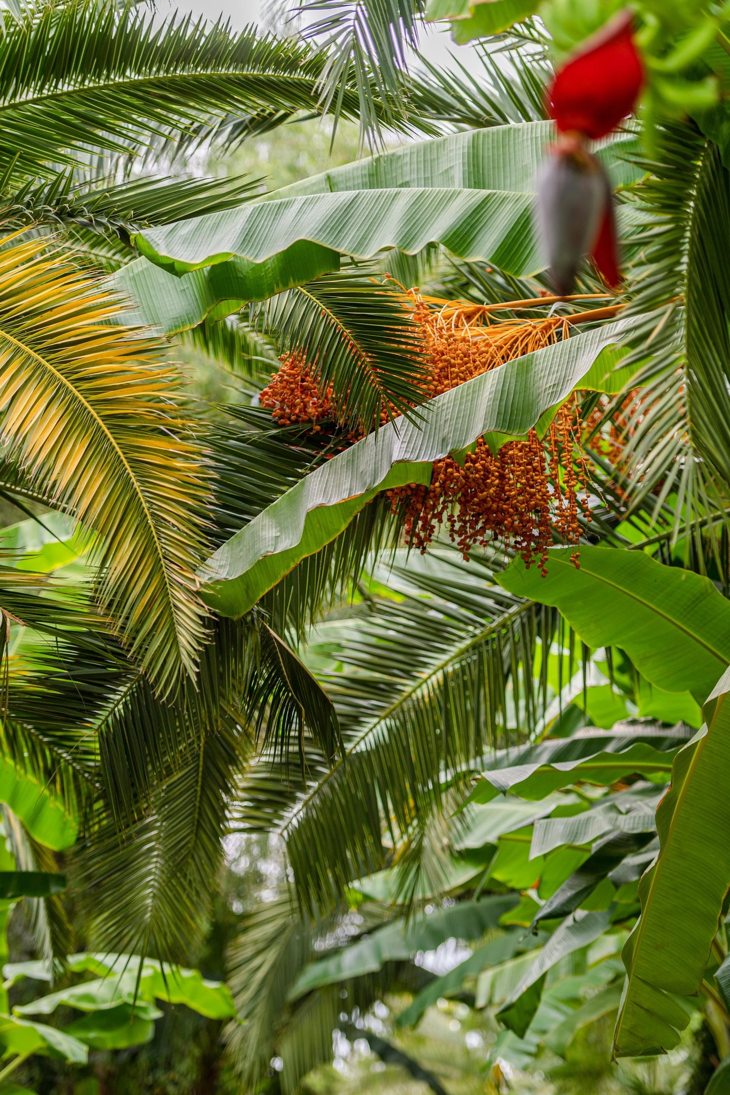 Sealife Buket Resort & Beach133