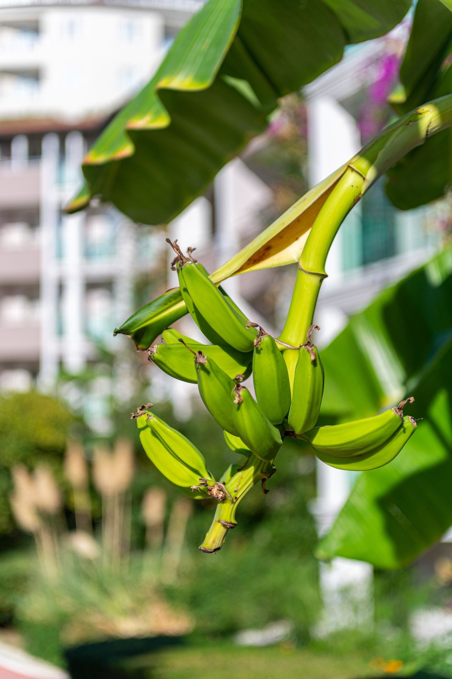 Sealife Buket Resort & Beach68