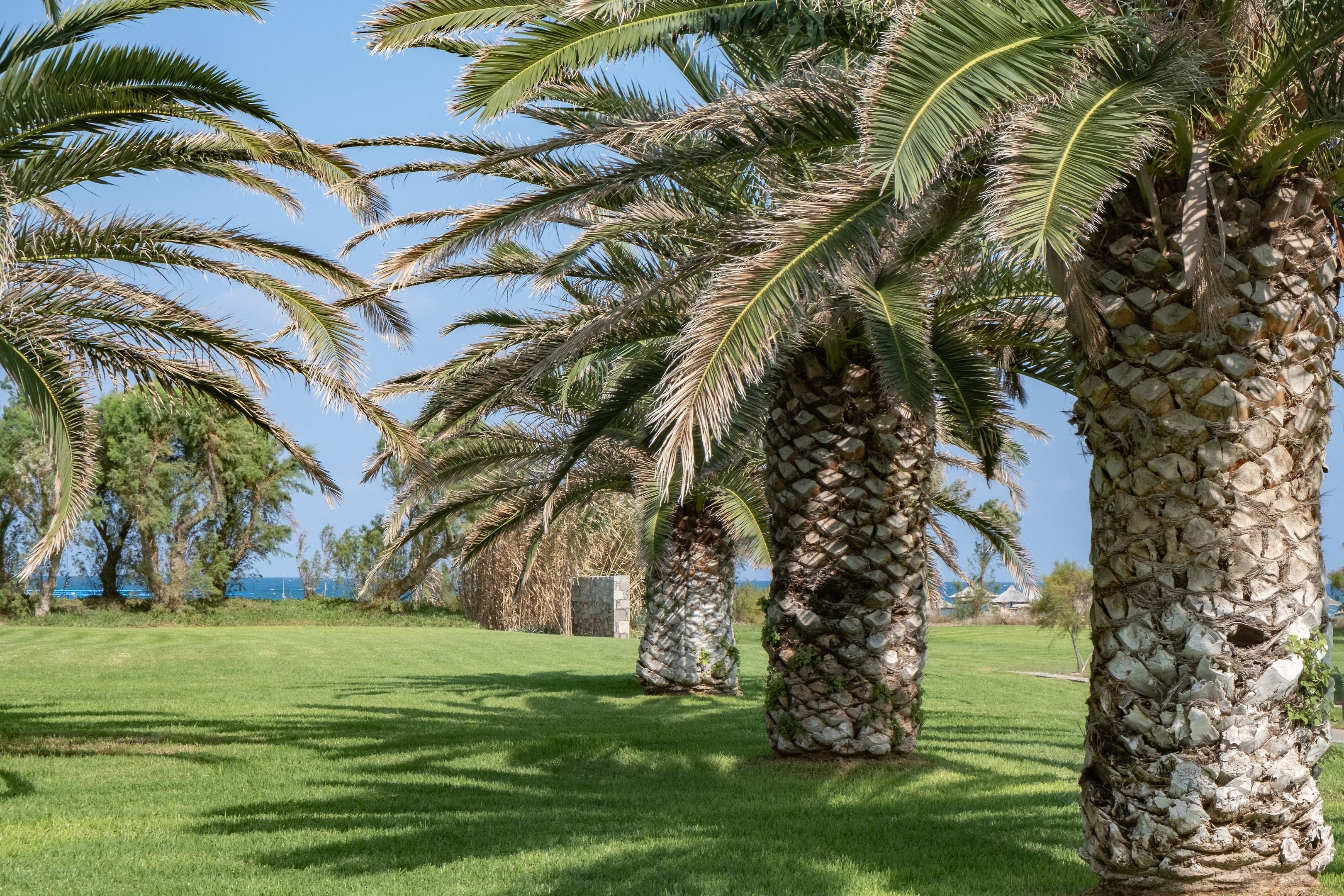 Agapi Beach Resort45