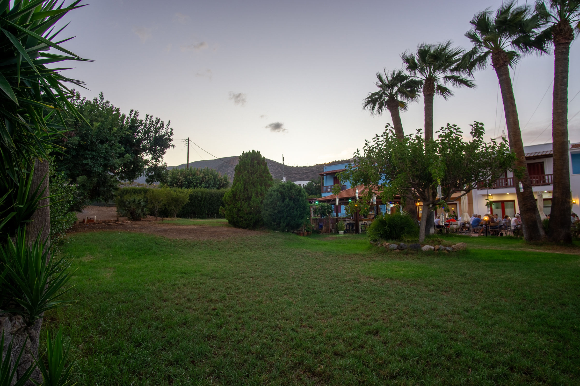 Paloma Garden & Corina19