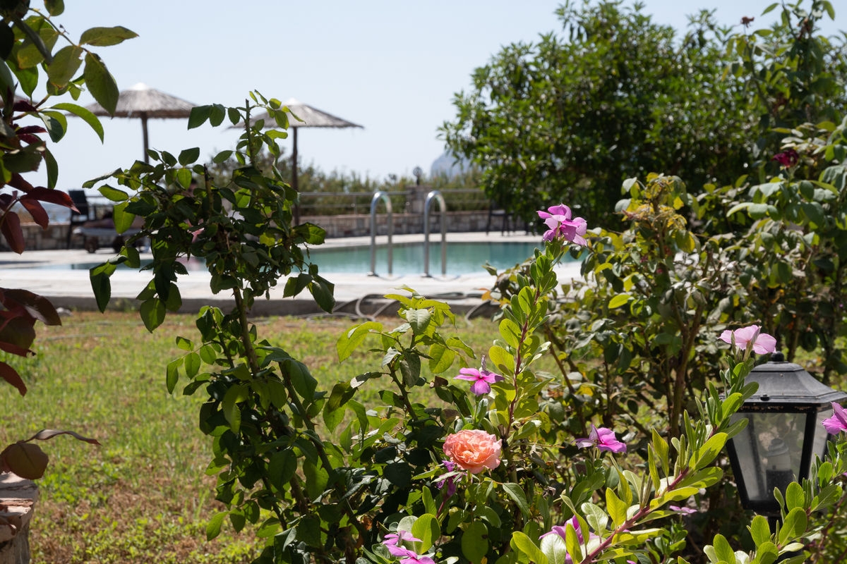 Gardenia Hotel18