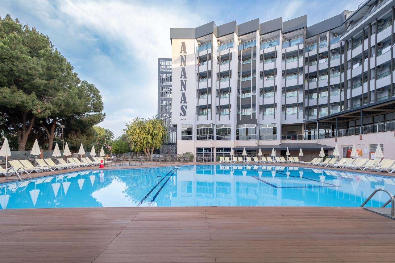 Ananas Hotel0